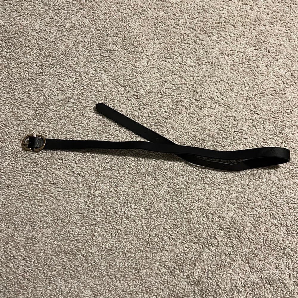 American Eagle Belt